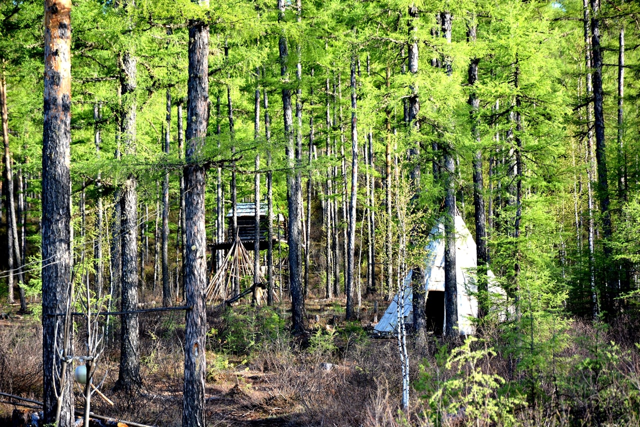 莫爾道嘎森林公園