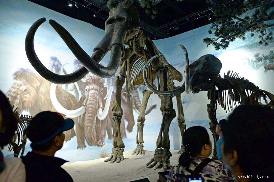 扎來(lái)諾爾博物館